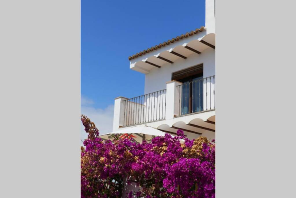 Ca Buganvilla. El corazón de la huerta valenciana Meliana Exterior foto