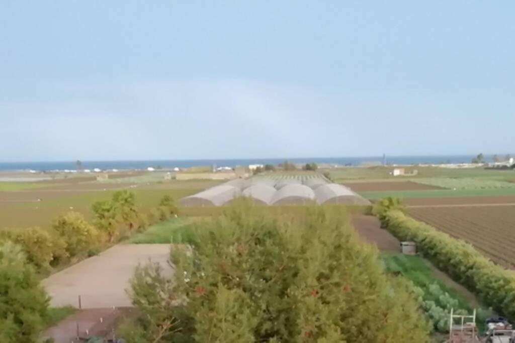 Ca Buganvilla. El corazón de la huerta valenciana Meliana Exterior foto